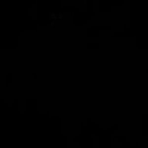 Meet your Posher, Lilly